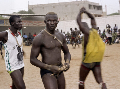 Les Lutteurs du Sénégal