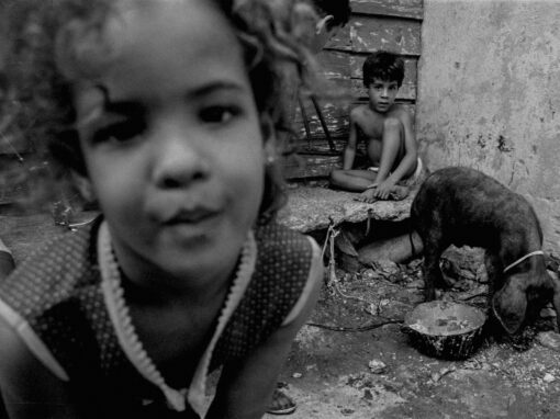 Gente que no conocí