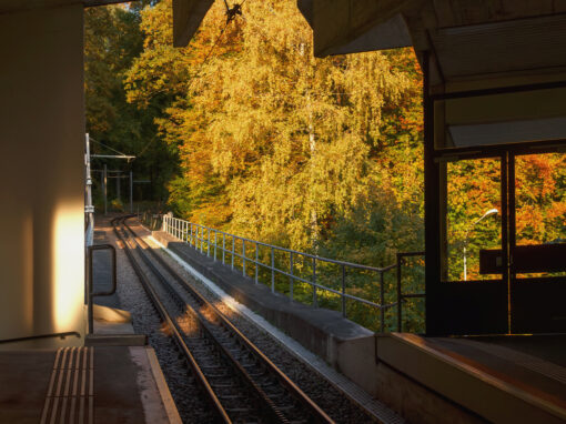 Dolderbahn Zwischenstation Waldhaus
